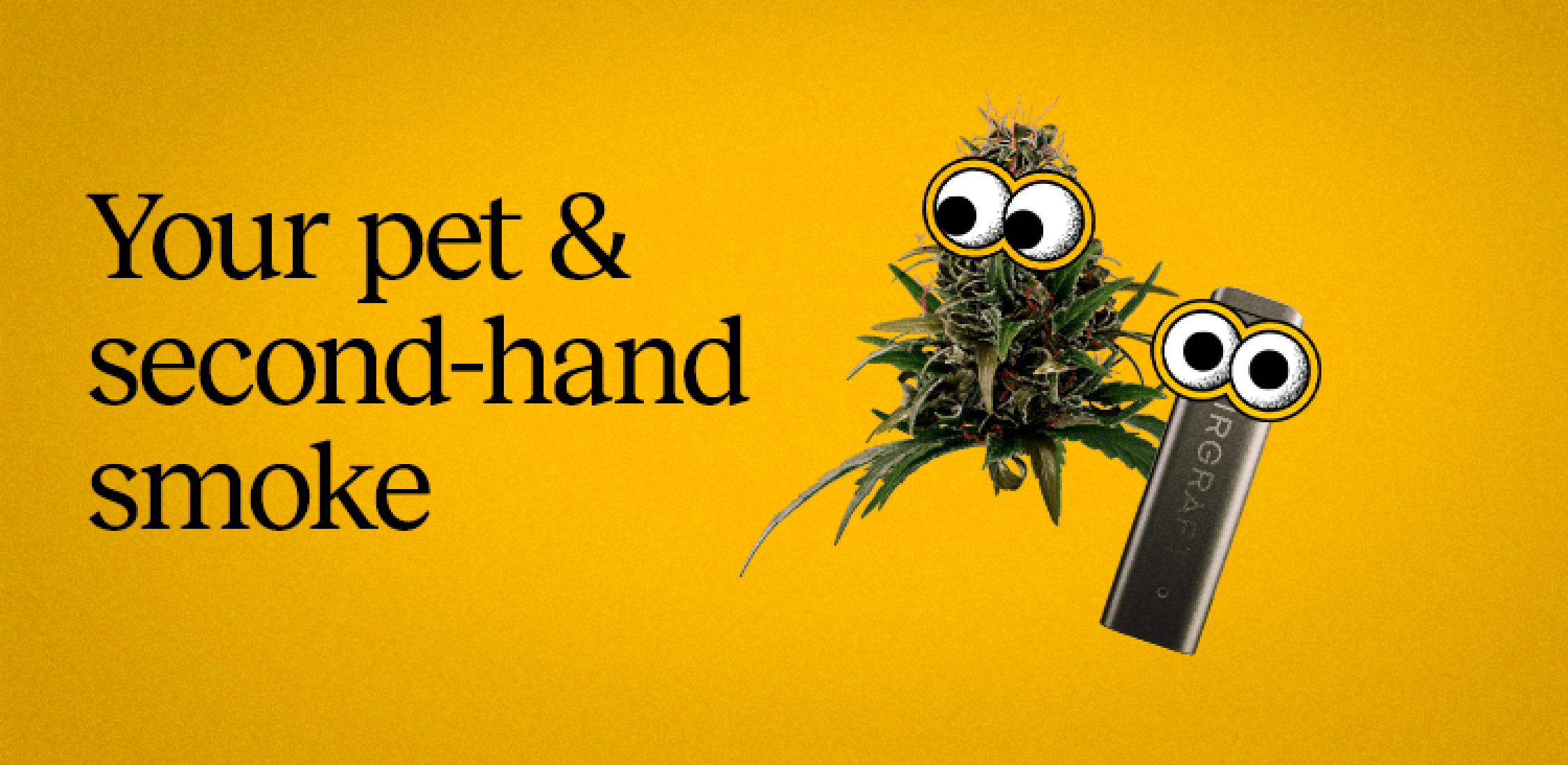 Your pet & second-hand smoke